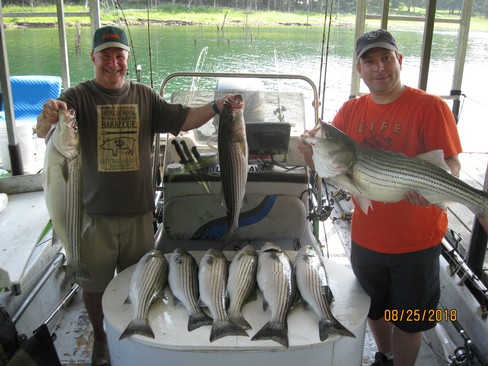 Nice Striped Bass